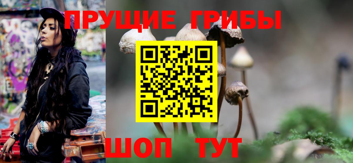 закладки  Вход с VPN  Первоуральск  Псилоцибиновые грибы Psilocybe 